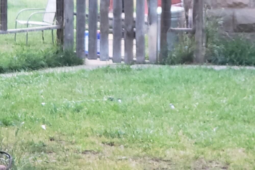 Photo of Outdoor in New Castle