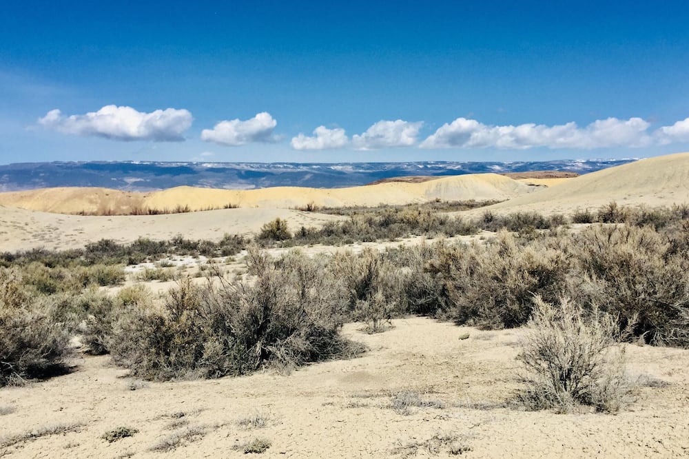 Photo of Outdoor in Delta