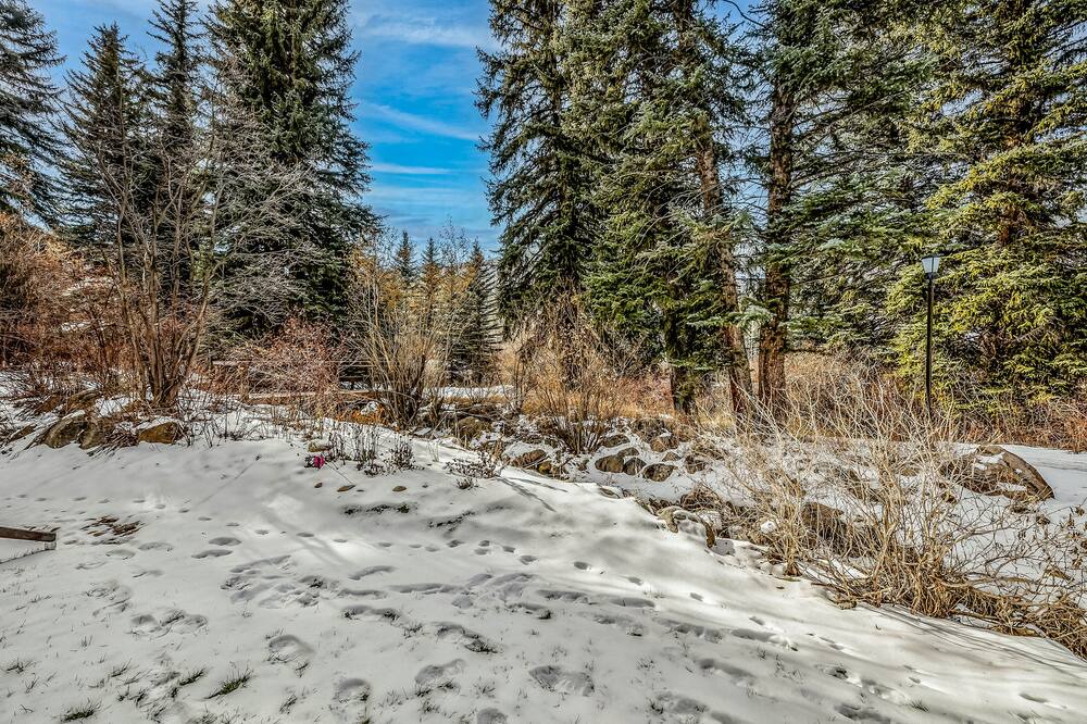 Photo of Others in Beaver Creek