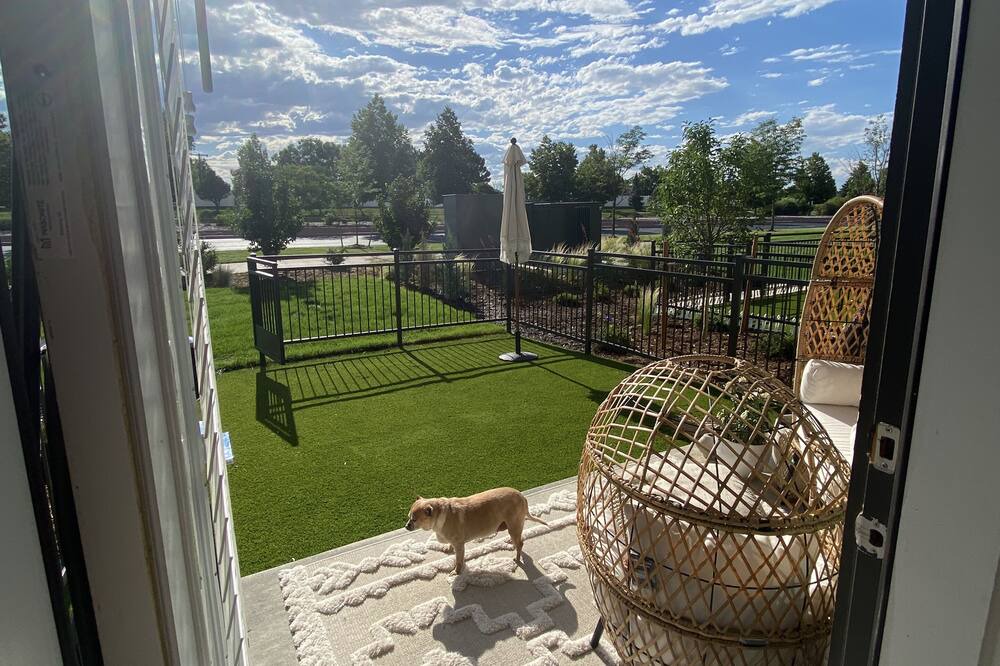 Photo of Patio Balcony in North Westminster