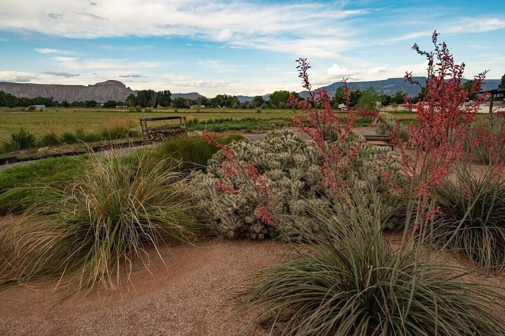Photo of Outdoor in Pear Park