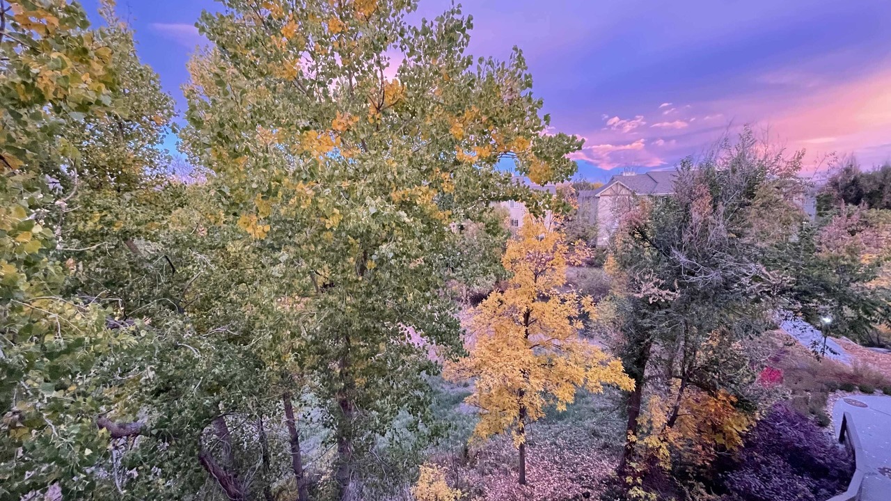 Photo of Outdoor in Bear Creek