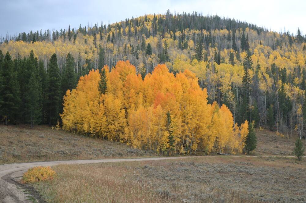 Photo of Outdoor in Grand County