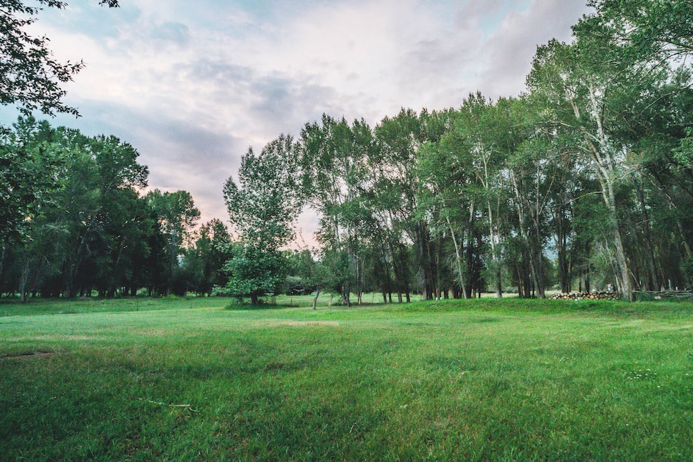 Photo of Outdoor in Buena Vista