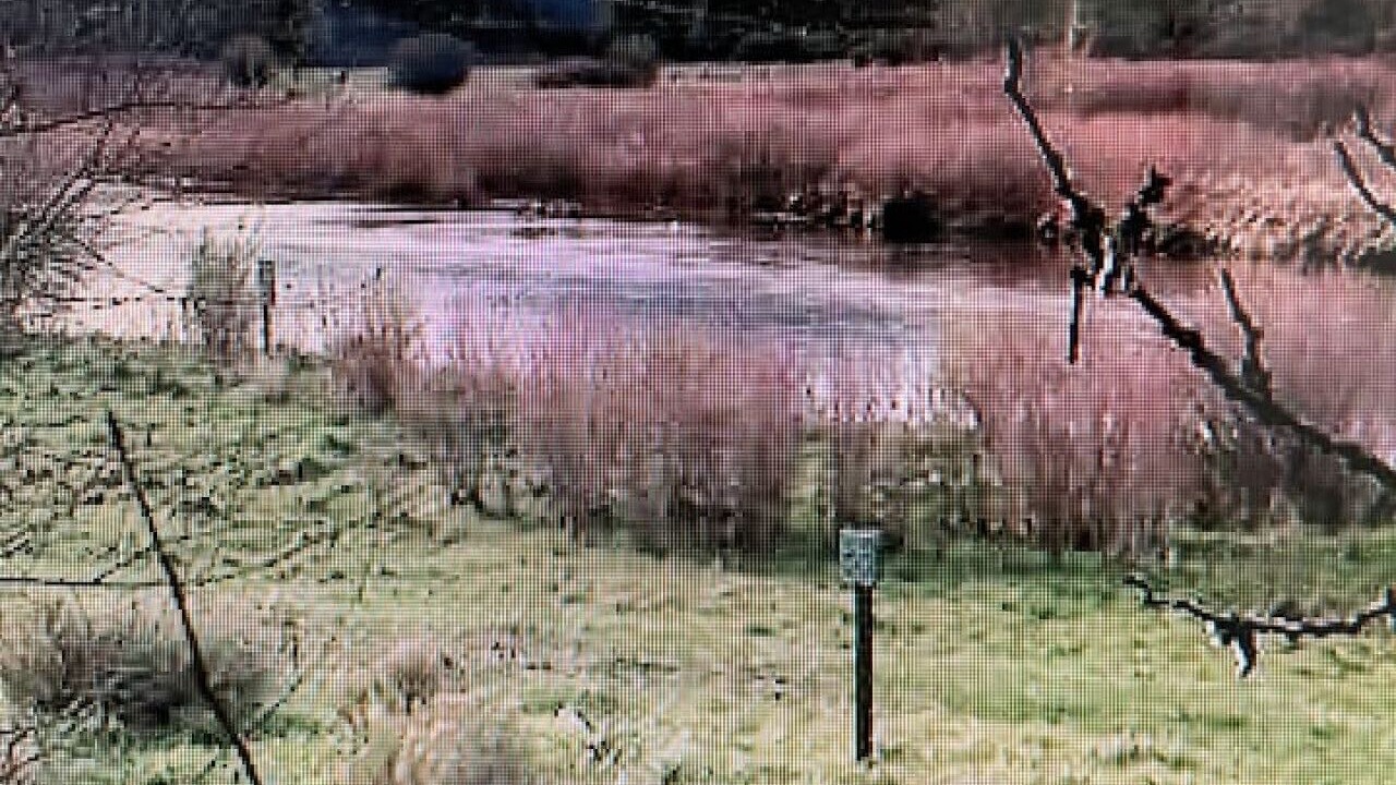 Photo of Others in Edwards