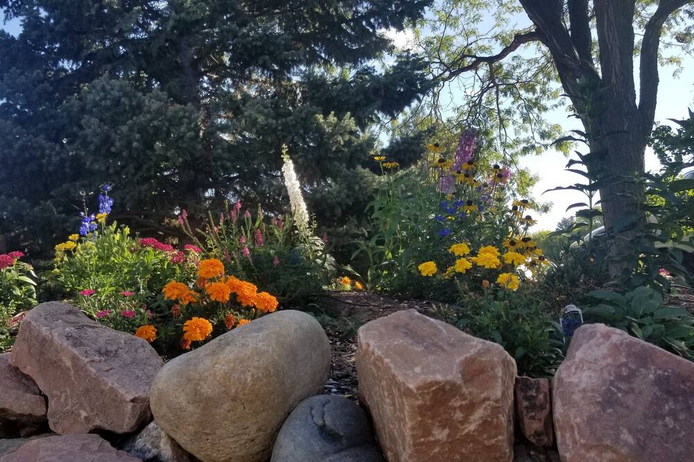 Photo of Outdoor in Loveland