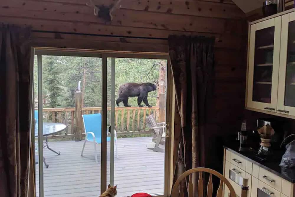 Photo of Others in Glacier View Meadows