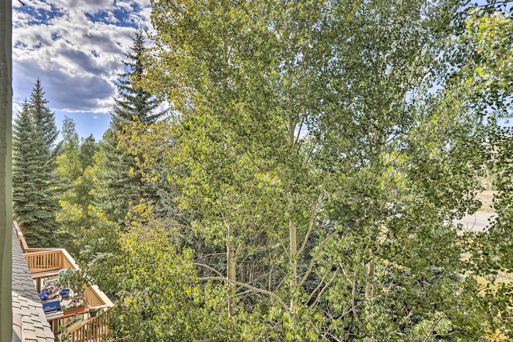 Photo of Outdoor in Summit Cove