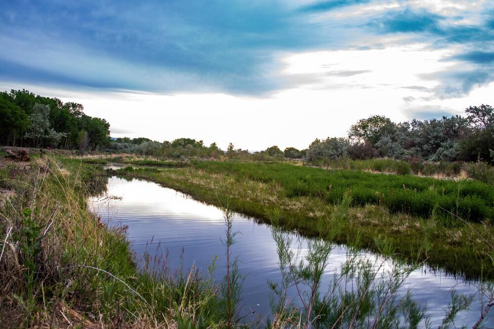 Photo of Outdoor in Delta
