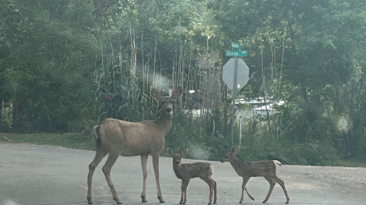 Photo of Others in Beulah