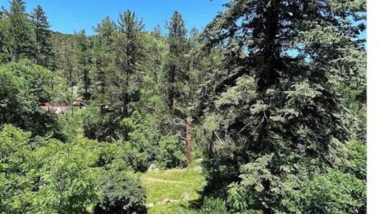 Photo of Outdoor in Beulah