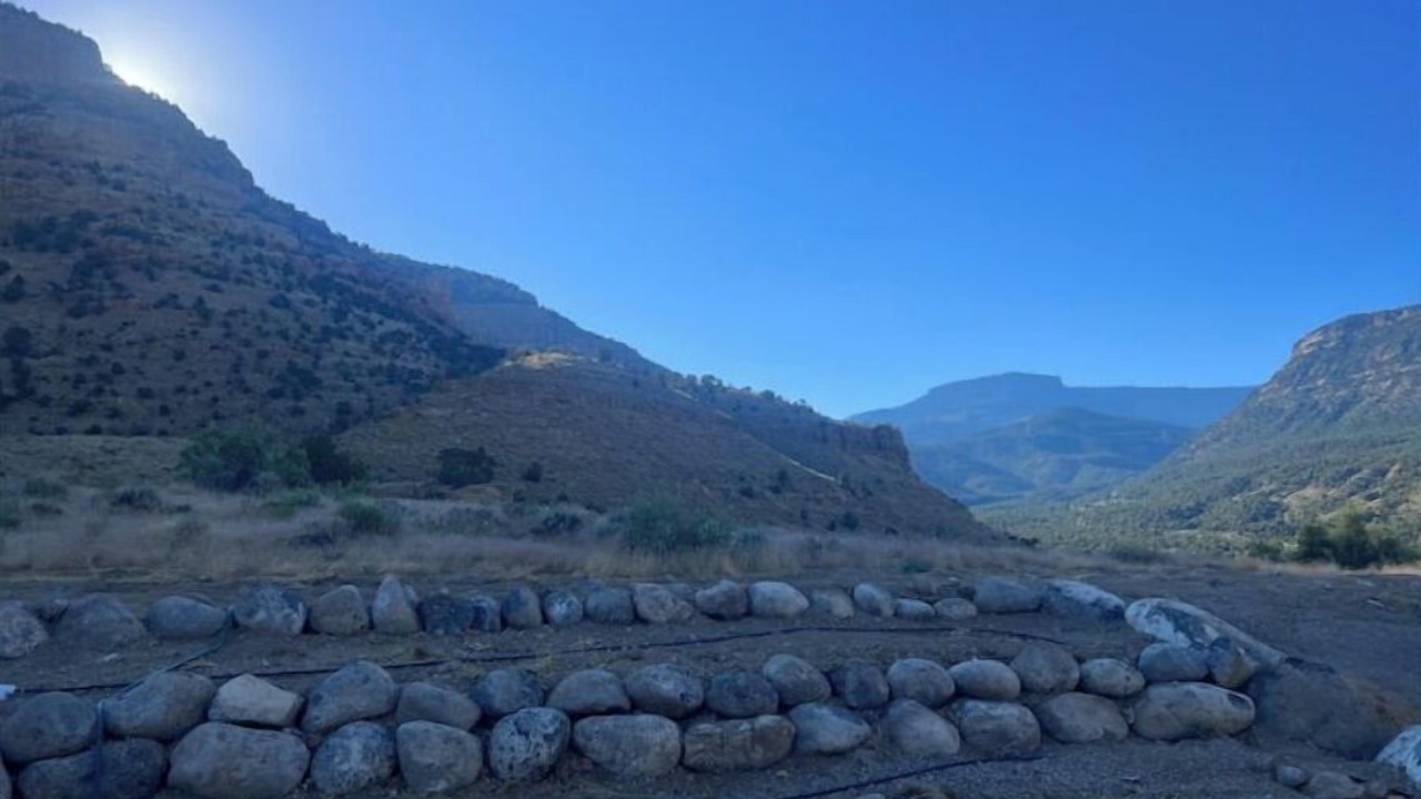 Photo of Others in Palisade