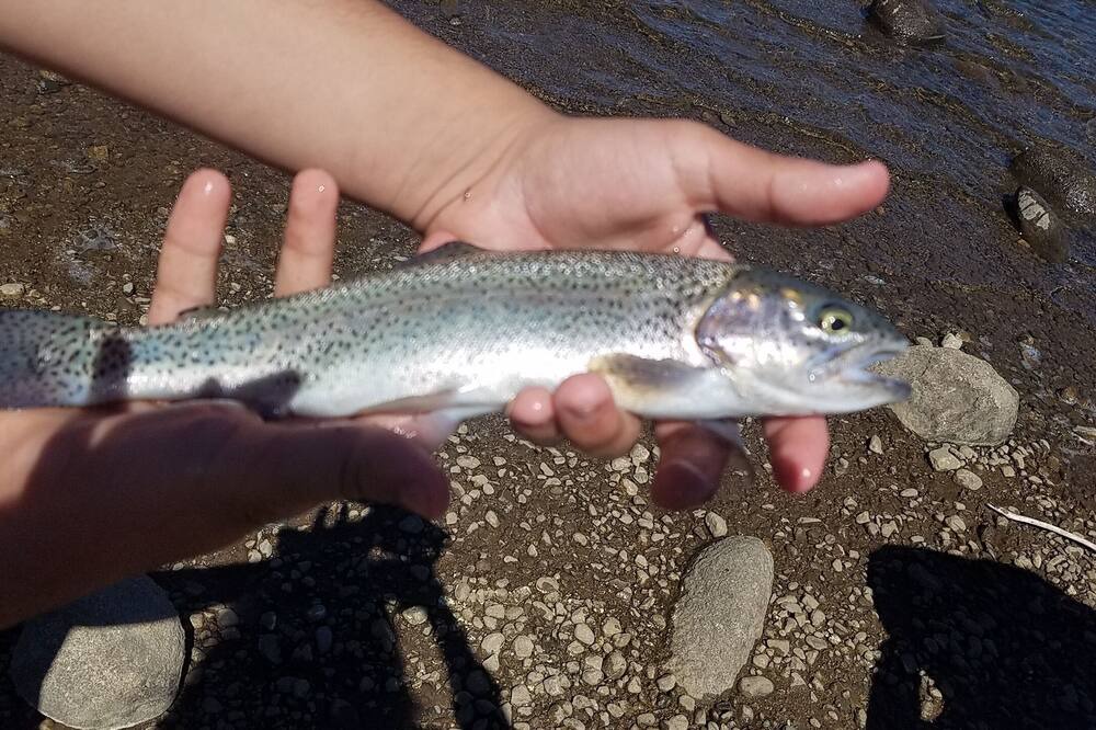 Photo of Outdoor in Summit Cove
