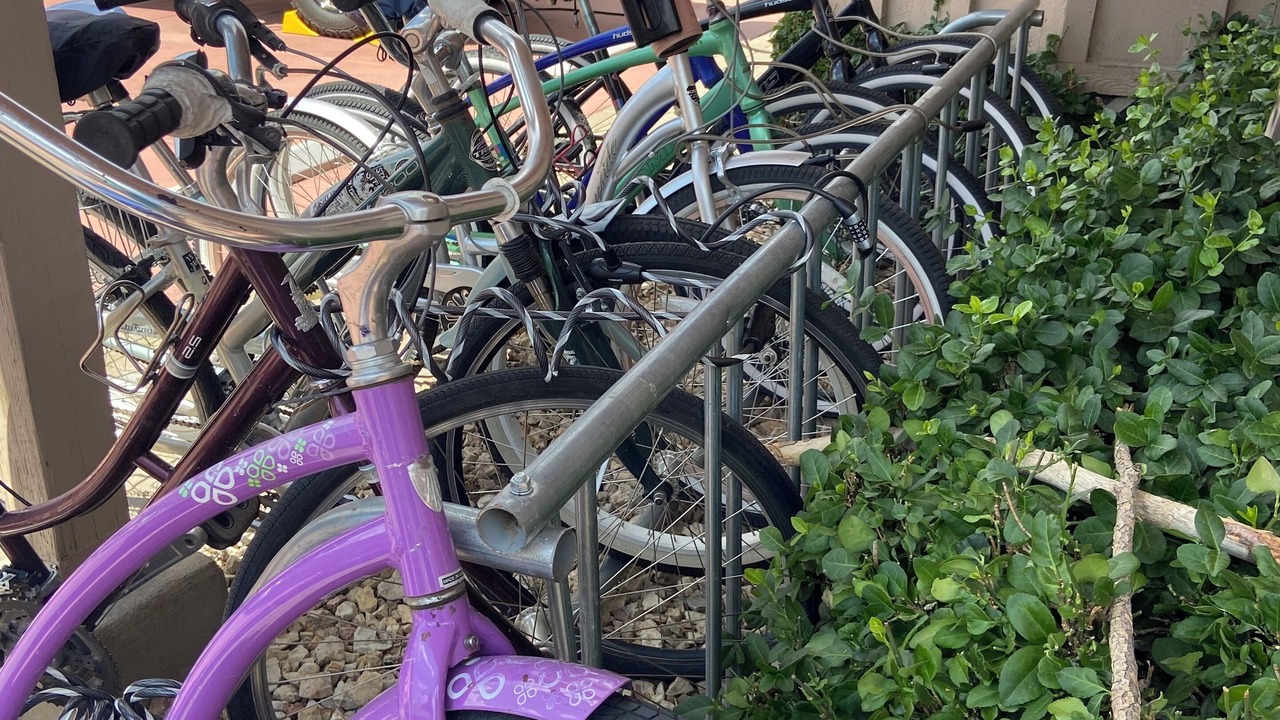 Photo of Outdoor in Salida