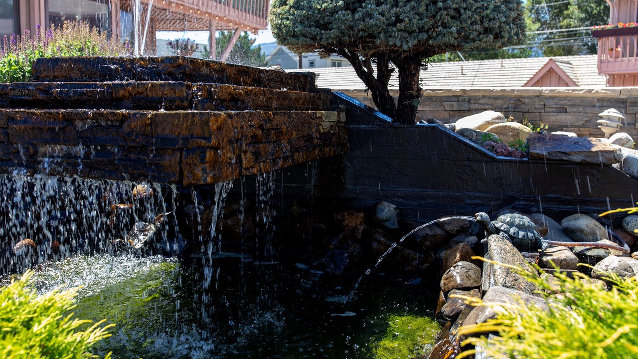 Photo of Outdoor in Salida
