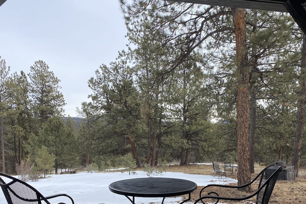 Photo of Outdoor in Pine