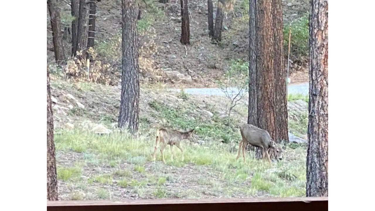 Photo of Others in Forest Lakes