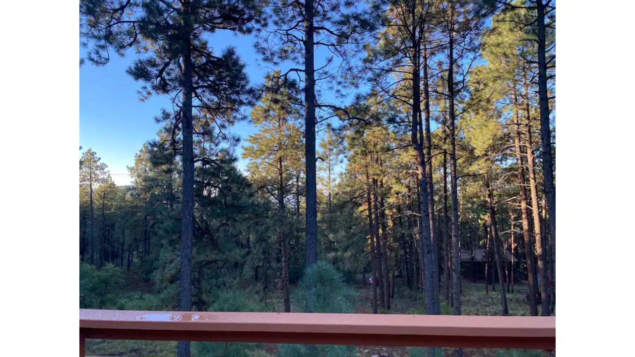 Photo of Others in Forest Lakes