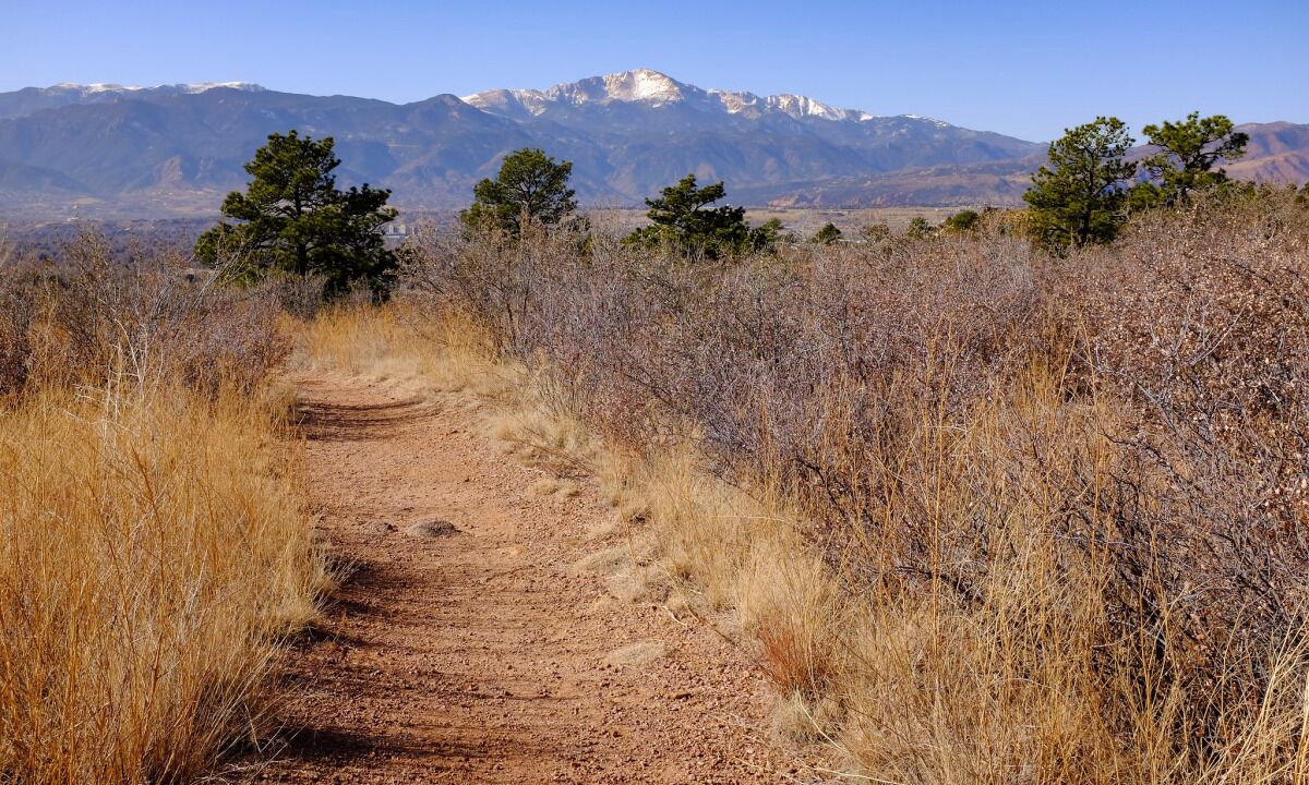 Photo of Others in East Colorado Springs