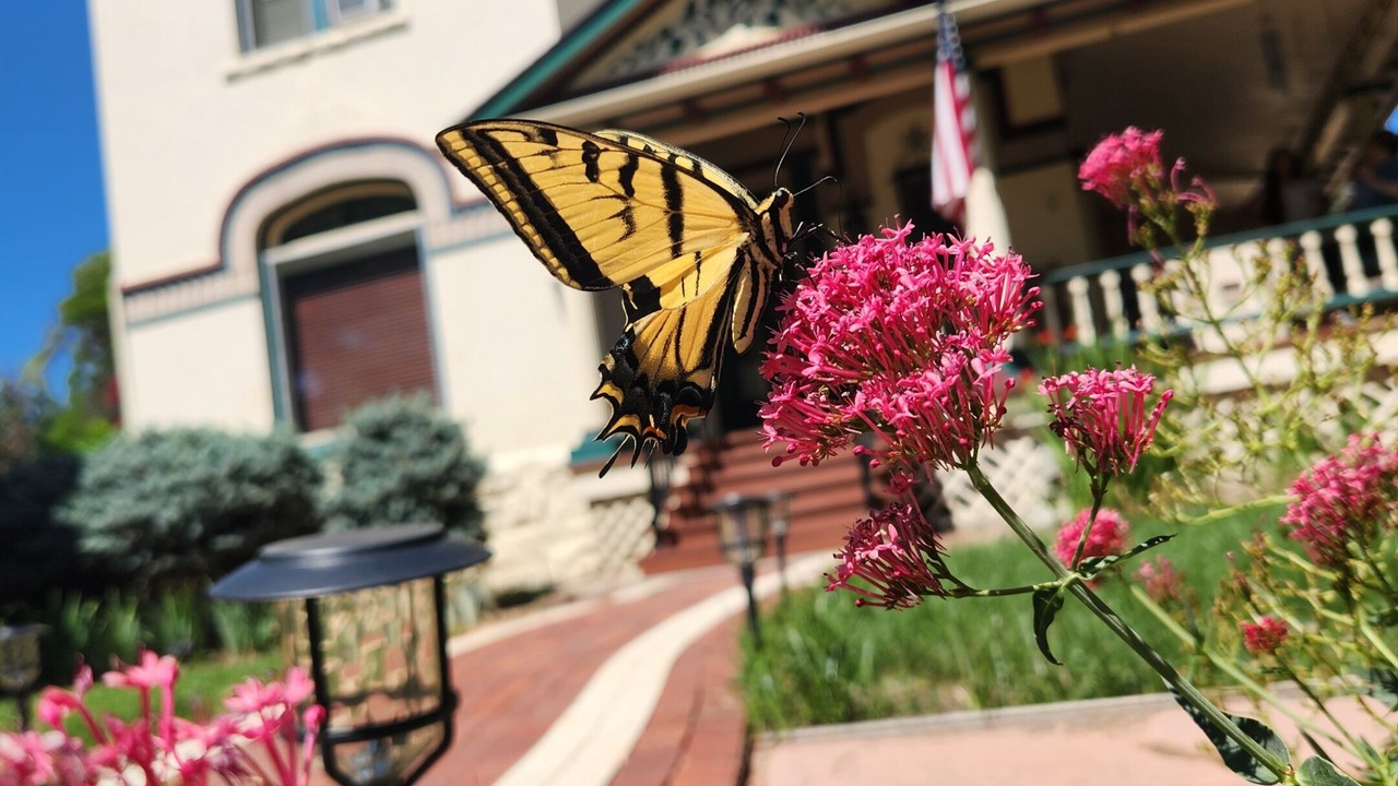 Photo of Outdoor in Northside