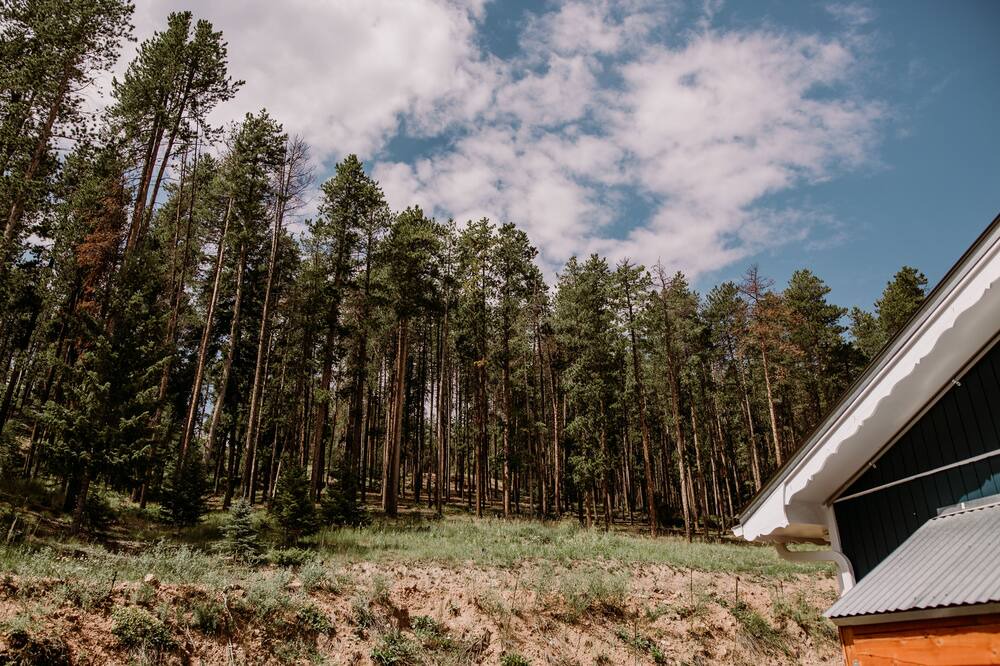 Photo of Outdoor in Shadow Mountain