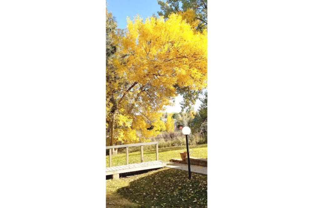 Photo of Outdoor in Niwot