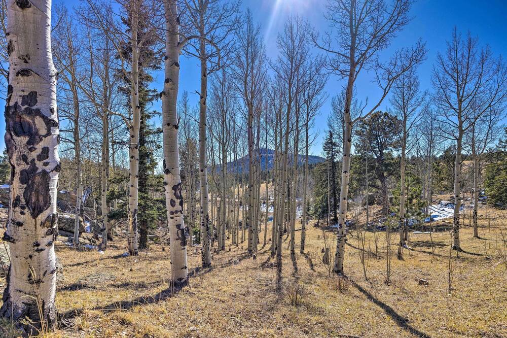 Photo of Outdoor in Victor