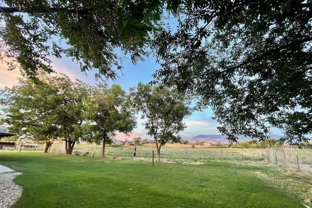 Photo of Others in Palisade