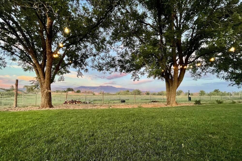Photo of Others in Palisade