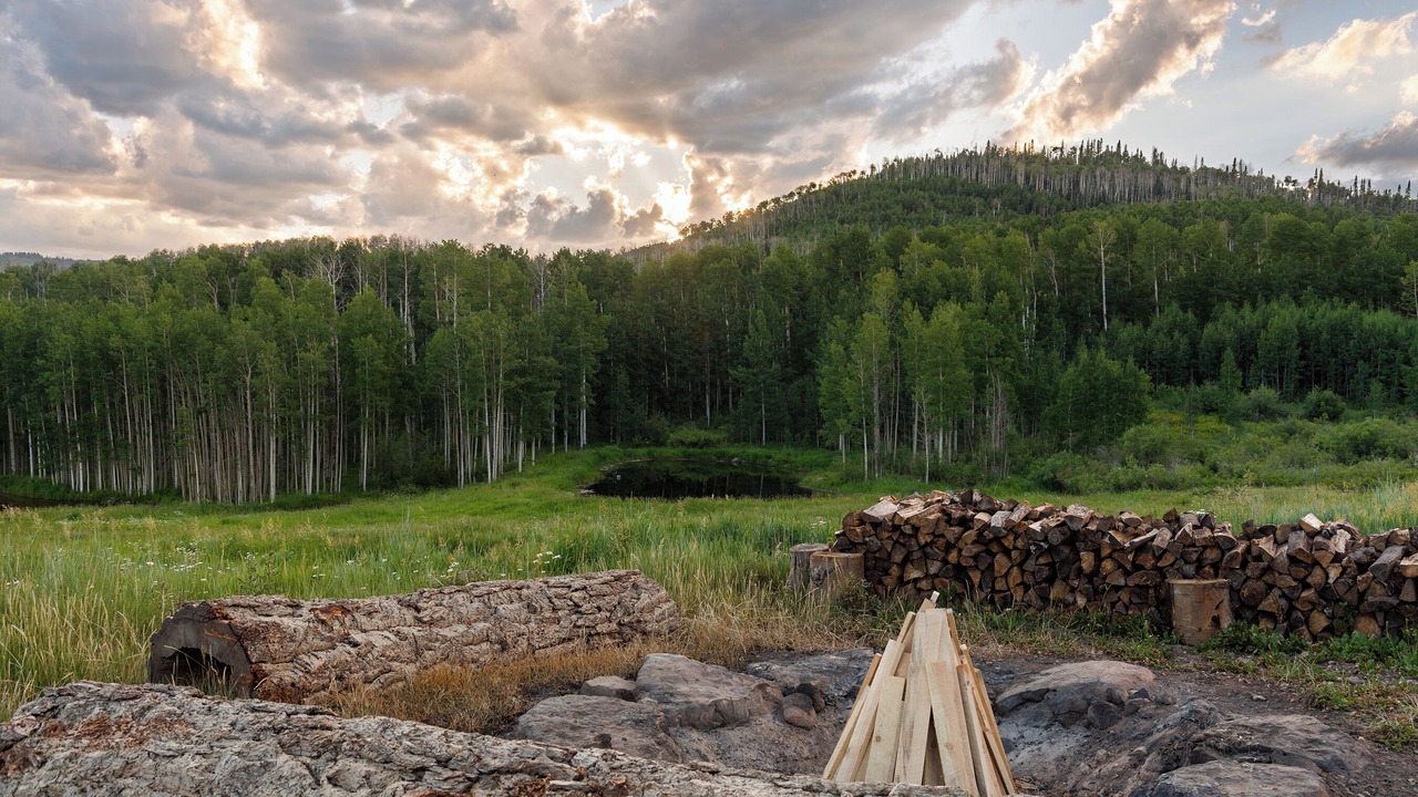 Photo of Outdoor in Paonia