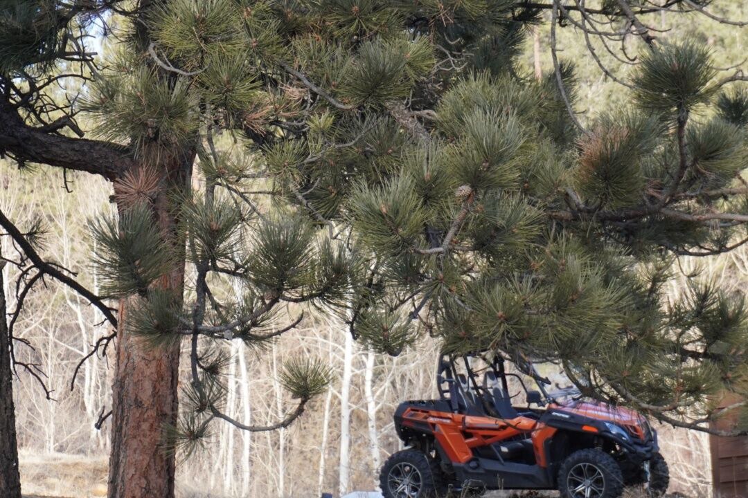 Photo of Outdoor in Bailey