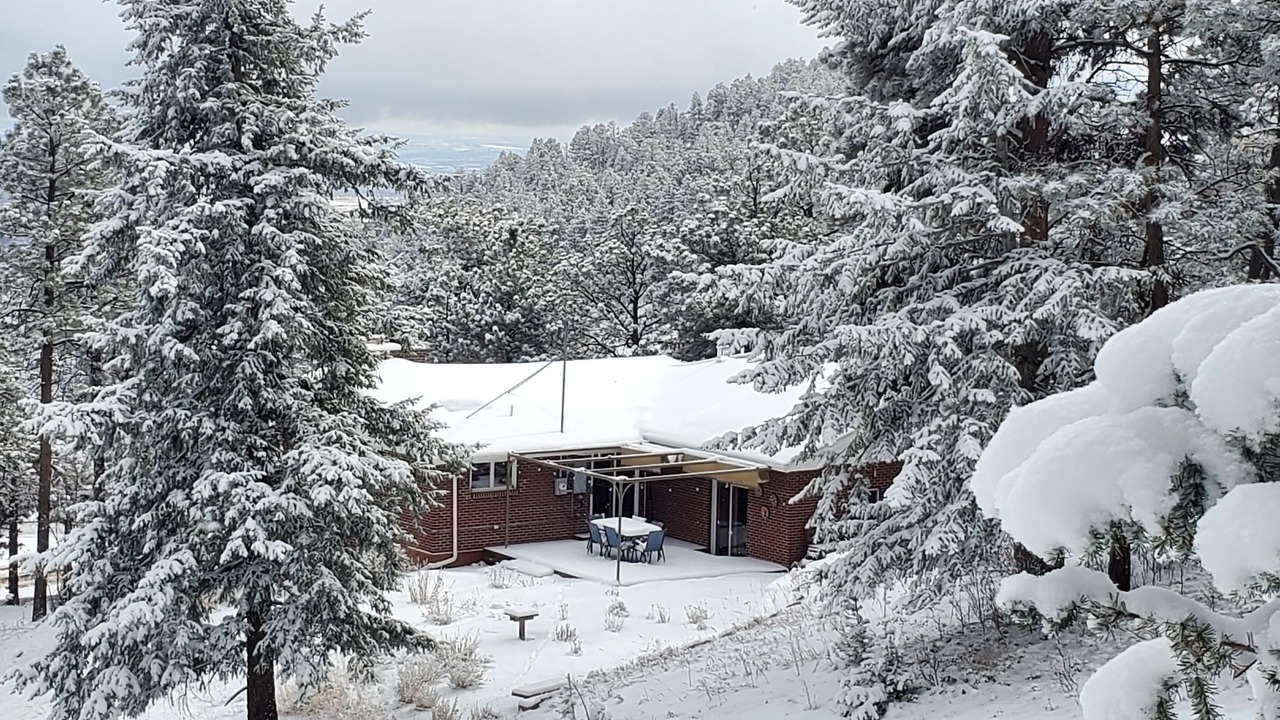 Photo of Outdoor in Golden