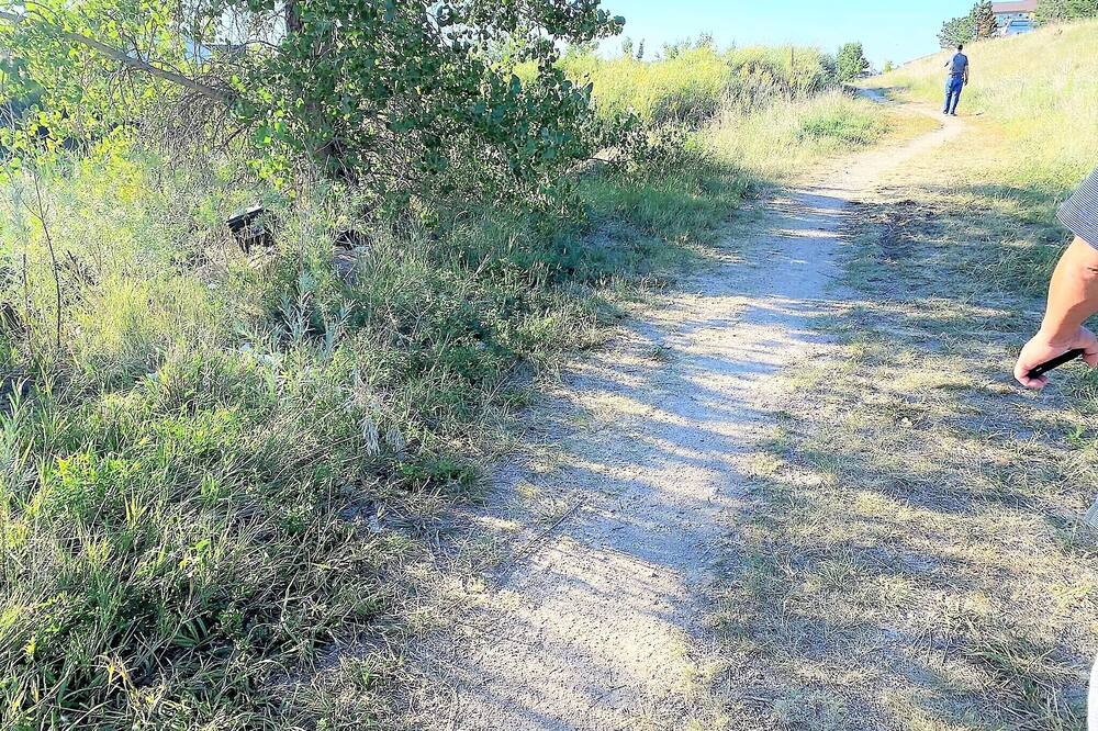 Photo of Others in Stetson Hills