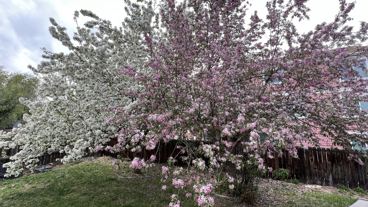Photo of Outdoor in Broomfield