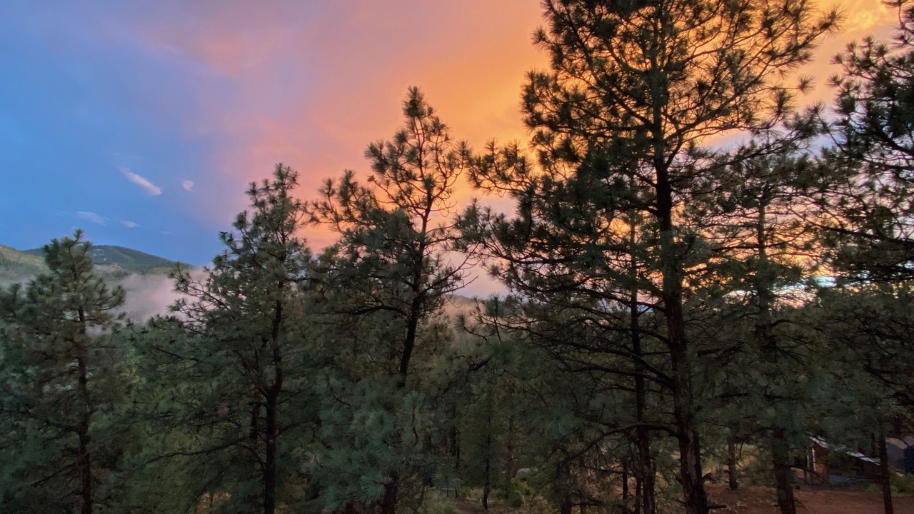 Photo of Outdoor in Pine
