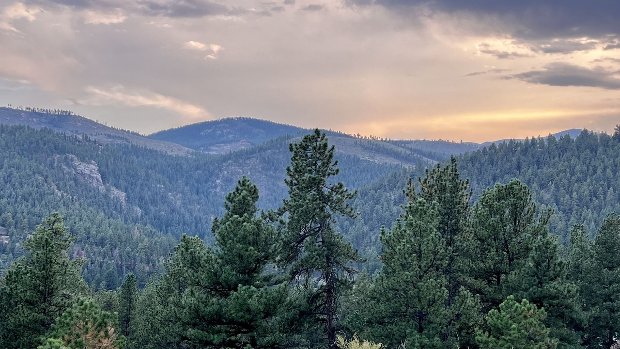 Photo of Outdoor in Pine
