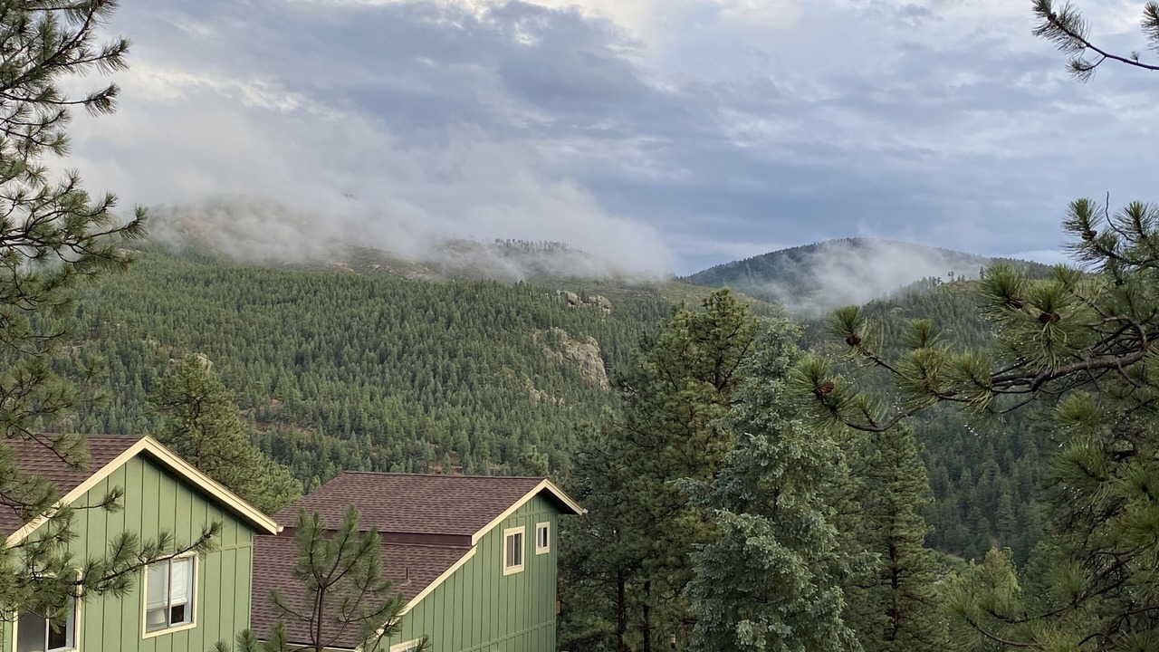 Photo of Outdoor in Pine