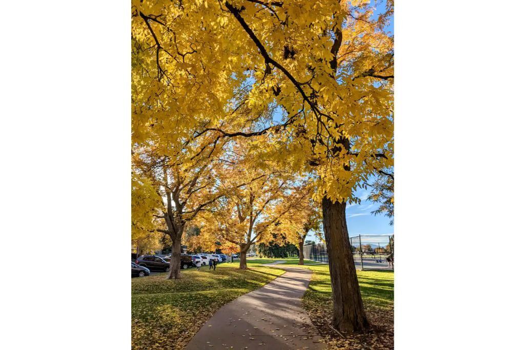 Photo of Outdoor in Ruby Hill