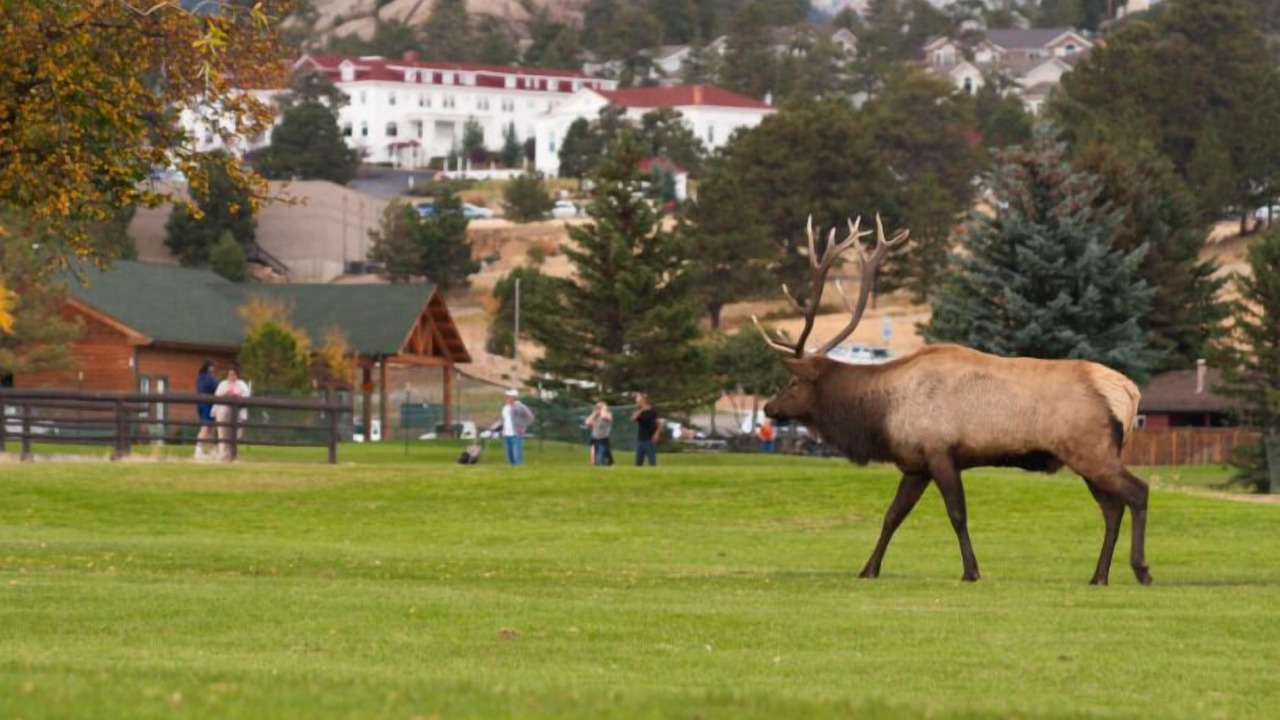 Photo of Others in Estes Park