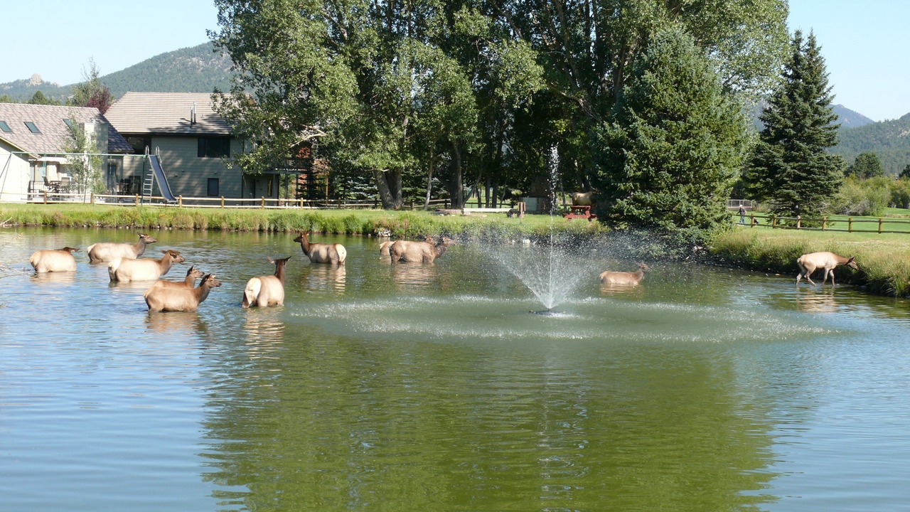 Photo of Outdoor in Stanley Hills