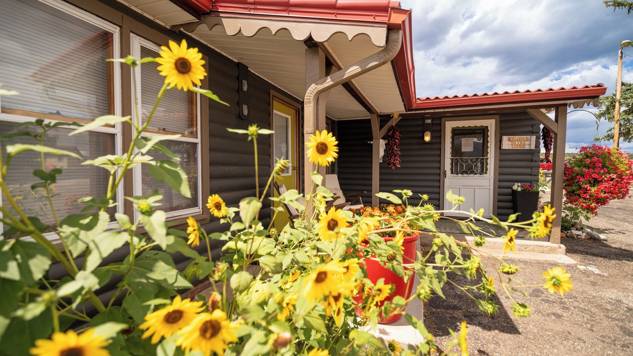 Photo of Outdoor in Salida
