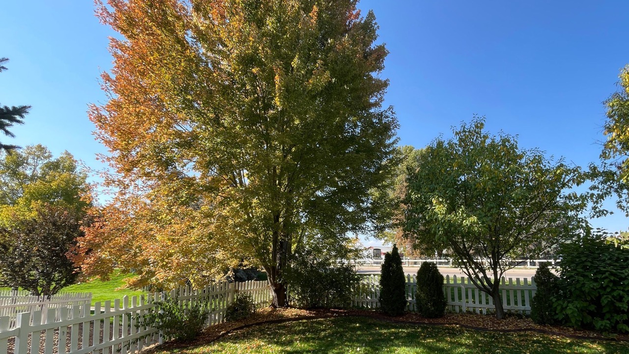 Photo of Outdoor in Windsor