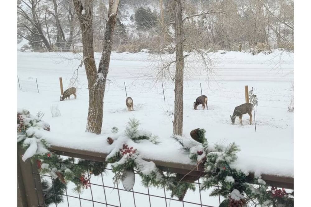 Photo of Outdoor in Glenwood Springs