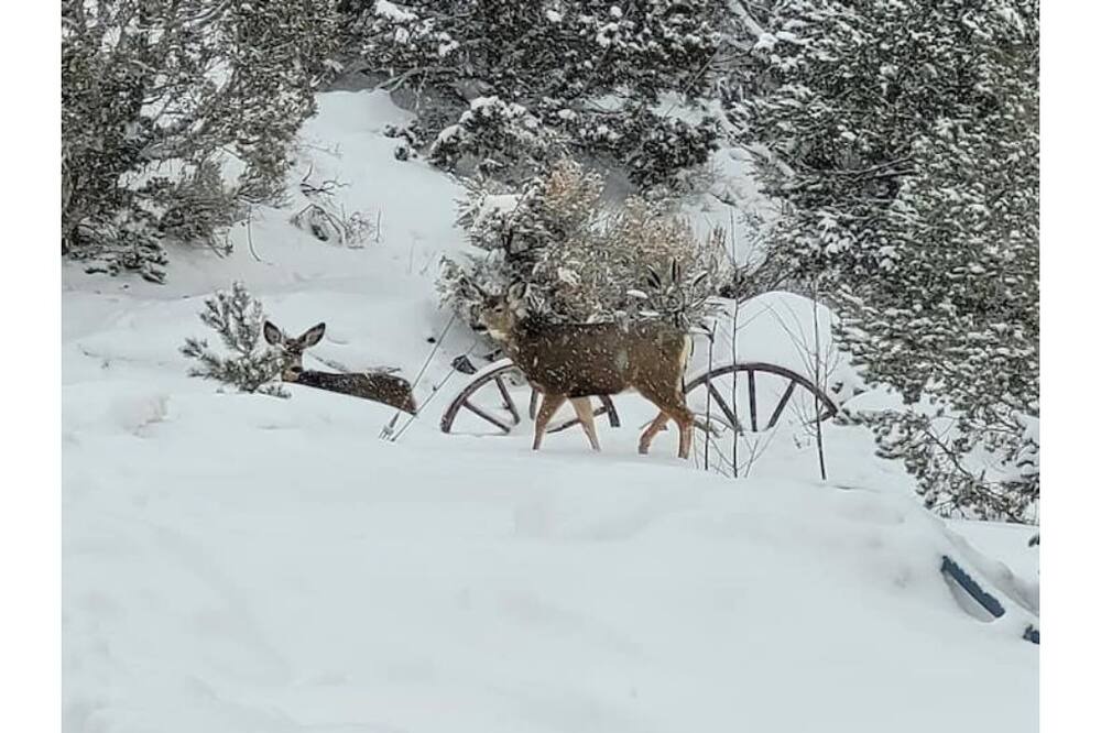 Photo of Others in Glenwood Springs