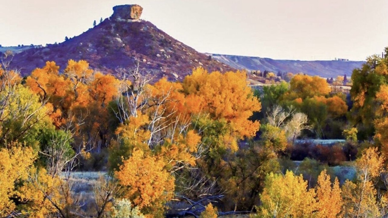 Photo of Outdoor in Castle Rock
