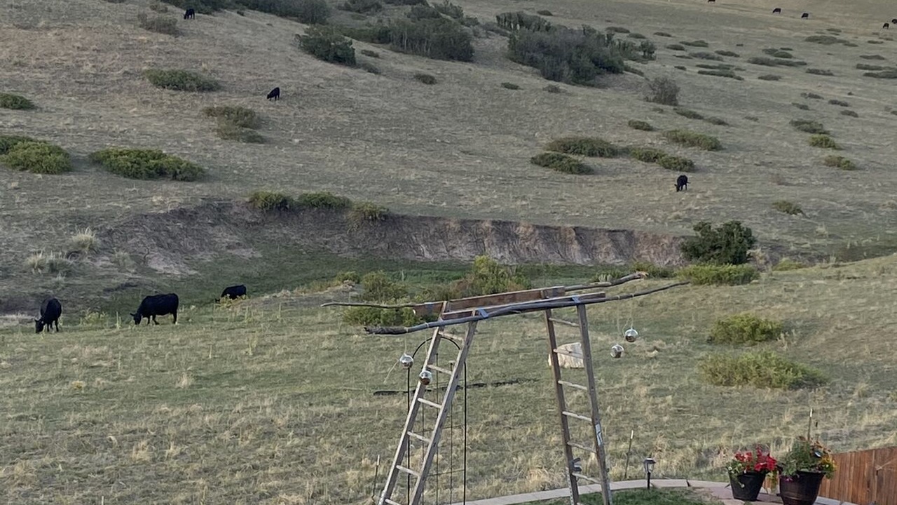 Photo of Others in Castle Rock