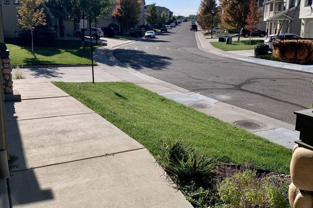 Photo of Others in Thornton