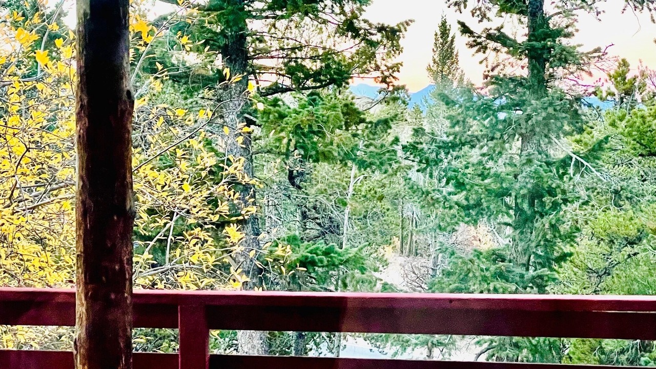 Photo of Outdoor in Coal Creek