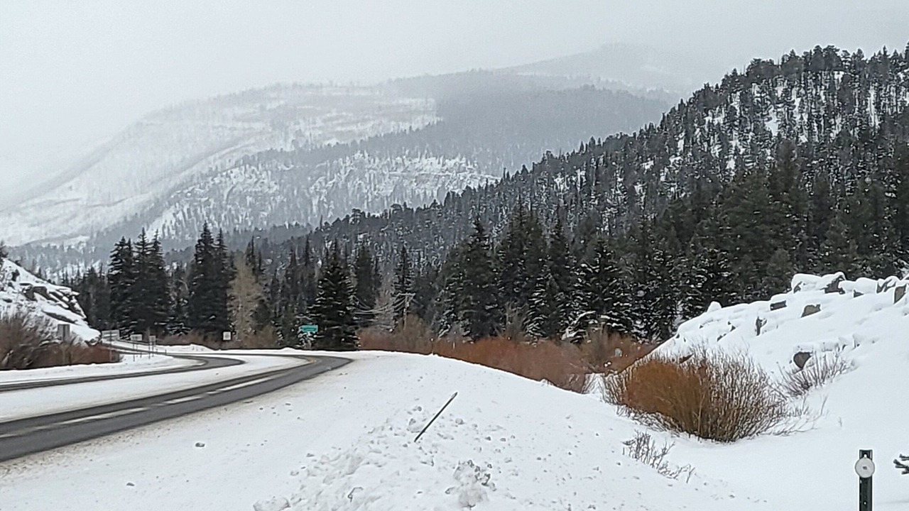 Photo of Others in Ponderosa Pines