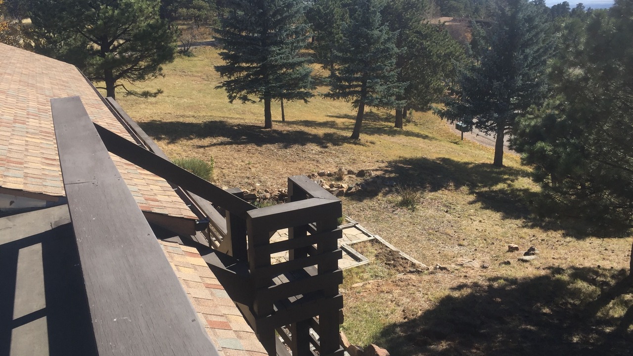 Photo of Outdoor in Golden